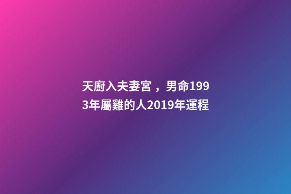 天廚入夫妻宮，男命1993年屬雞的人2019年運程